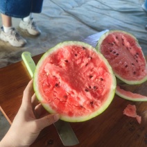 麒麟西瓜