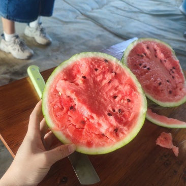麒麟西瓜