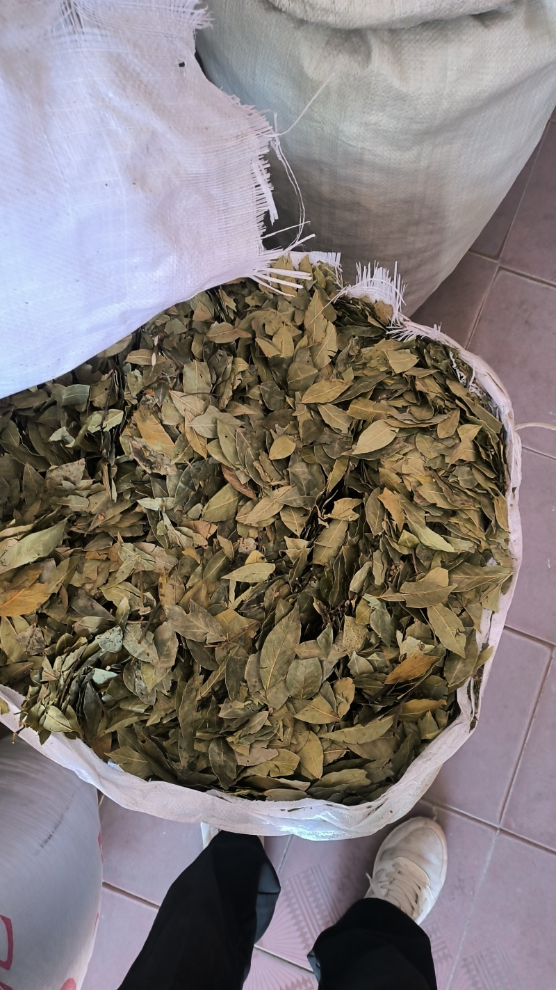 香叶足干货，包邮到家货物整装不碎提香去腥卤肉炖肉必备