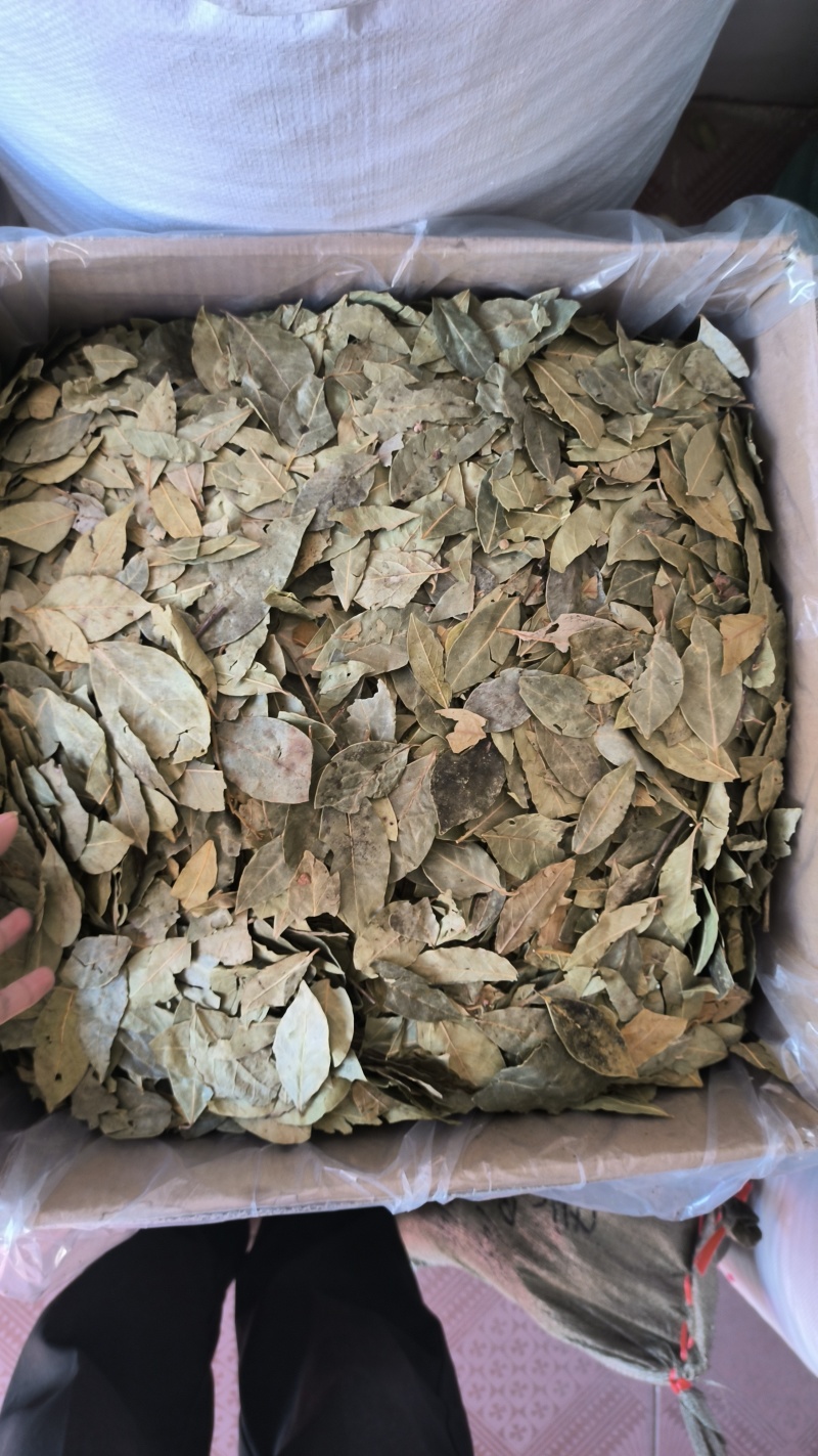 香叶足干货，包邮到家货物整装不碎提香去腥卤肉炖肉必备