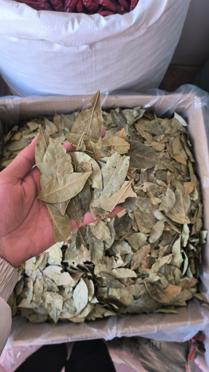 香叶足干货，包邮到家货物整装不碎提香去腥卤肉炖肉必备