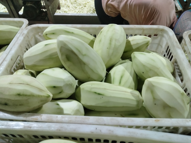 木瓜丝