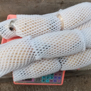粉藕全部手工淘，手工洗整车发货或者一件代发需要的老板联系