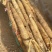 滚地龙山药大量上市，自产自销，欢迎各位老板下单！
