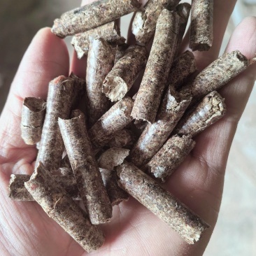 生物质颗粒燃料杉木糠颗粒，热度高灰粉少，厂家直销