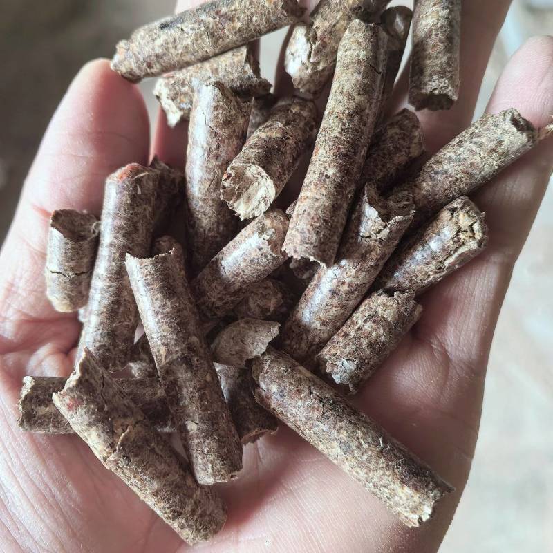 生物质颗粒燃料杉木糠颗粒，热度高灰粉少，厂家直销