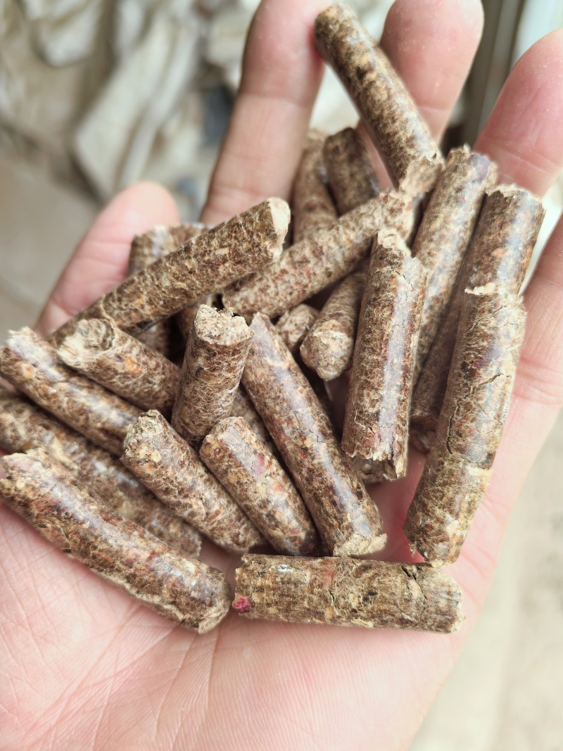 生物质颗粒燃料杉木糠颗粒，热度高灰粉少，厂家直销