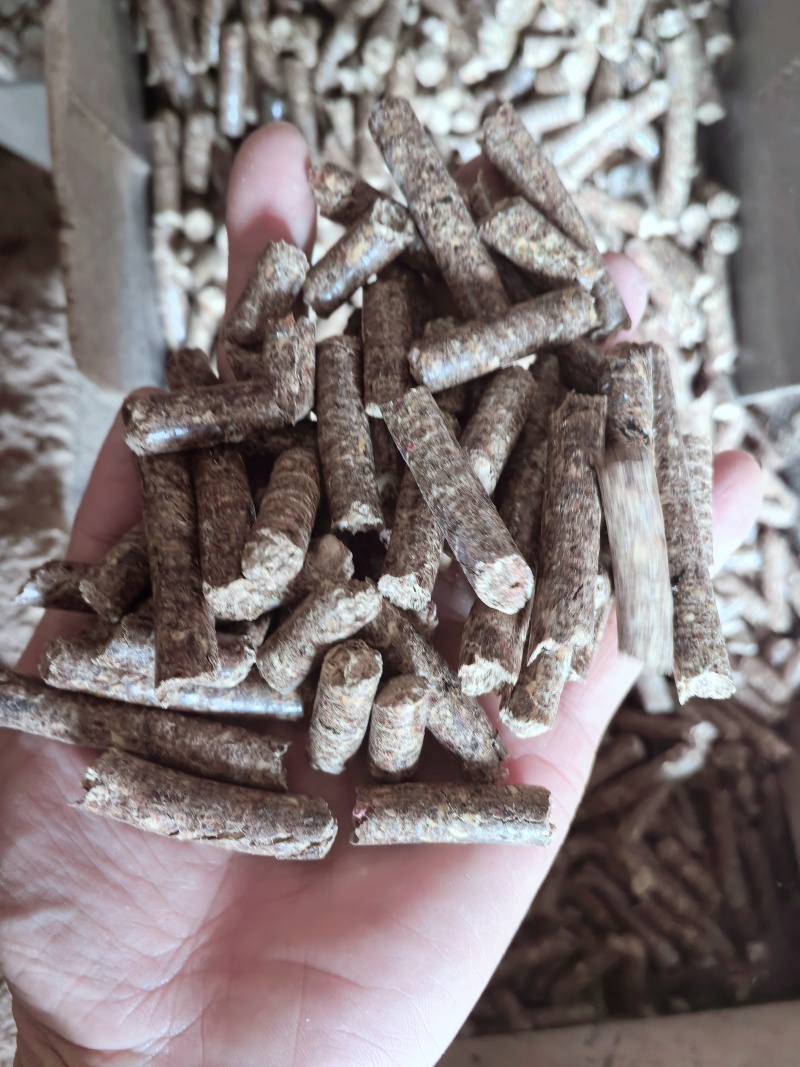 生物质颗粒燃料杉木糠颗粒，热度高灰粉少，厂家直销