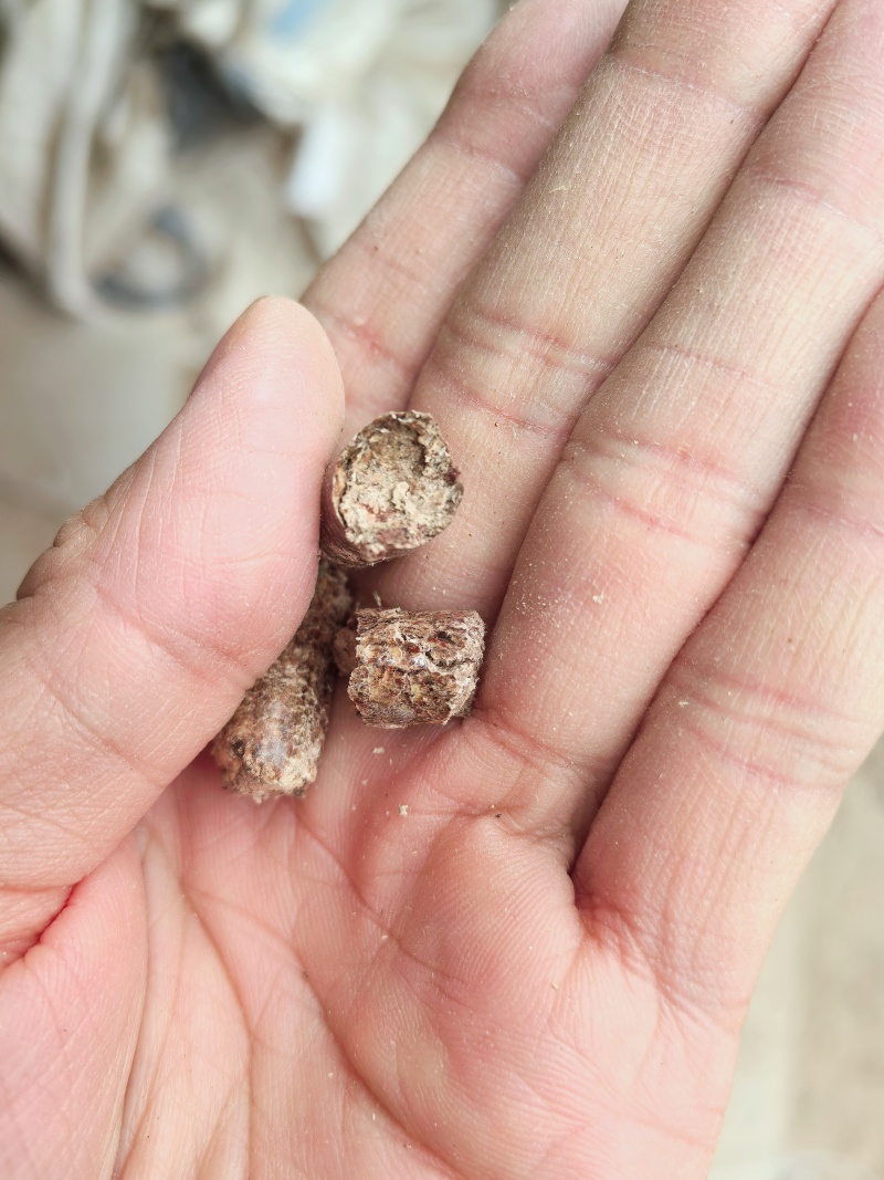 生物质颗粒燃料杉木糠颗粒，热度高灰粉少，厂家直销