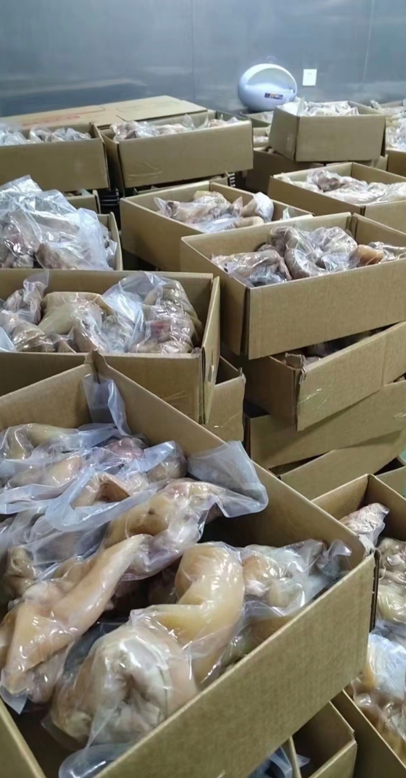 牛蹄熟牛蹄去骨牛蹄真空包装一手货源厂家直销
