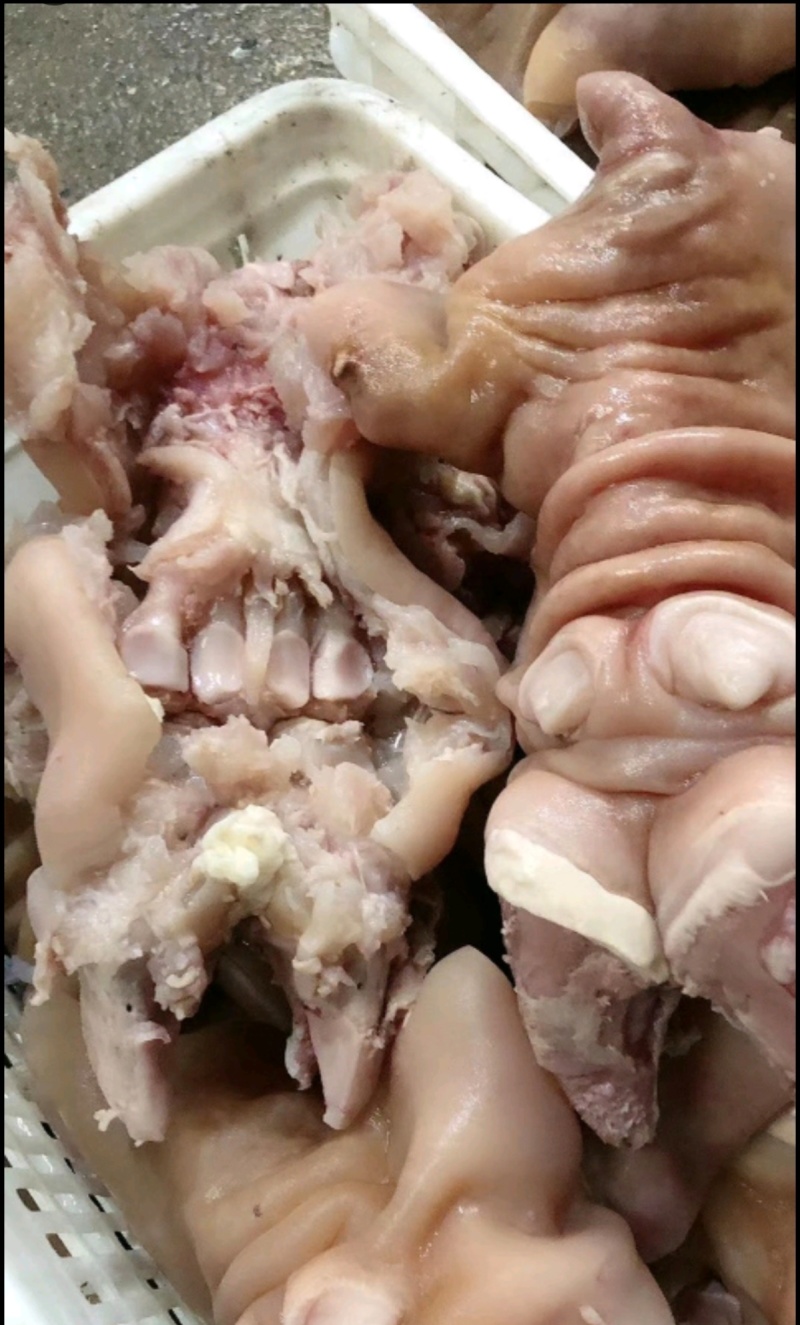 牛蹄熟牛蹄去骨牛蹄真空包装一手货源厂家直销