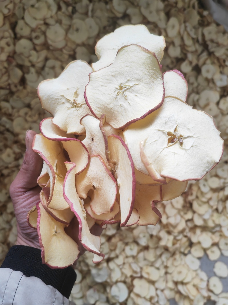 【推荐】苹果干小片工厂直发保质保量对接全国量大从优