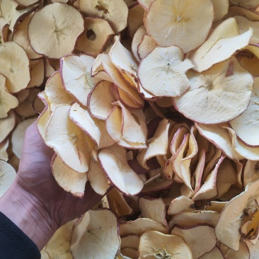 【推荐】苹果干小片工厂直发保质保量对接全国量大从优