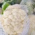 花菜松花菜精品花菜新鲜花菜产地发货保质保量