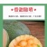 正宗哈密瓜新鲜水果当季现摘脆甜网纹瓜西州蜜香瓜老汉瓜整箱