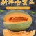 正宗哈密瓜新鲜水果当季现摘脆甜网纹瓜西州蜜香瓜老汉瓜整箱