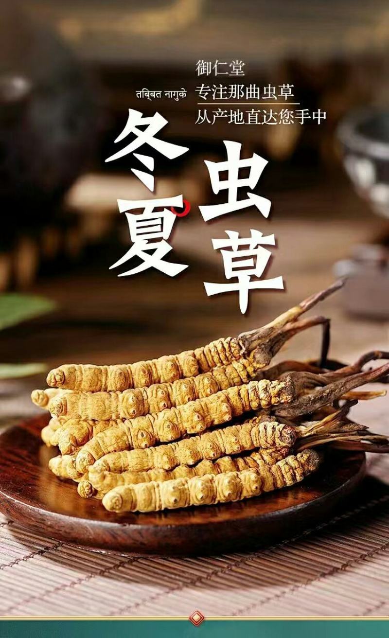 西藏那曲精品虫草，根根精选，个个珍品欢迎咨询订购