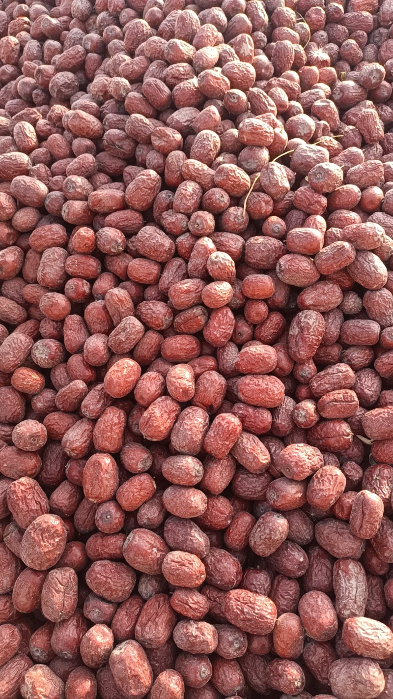 有需要新疆灰枣可以联系我们