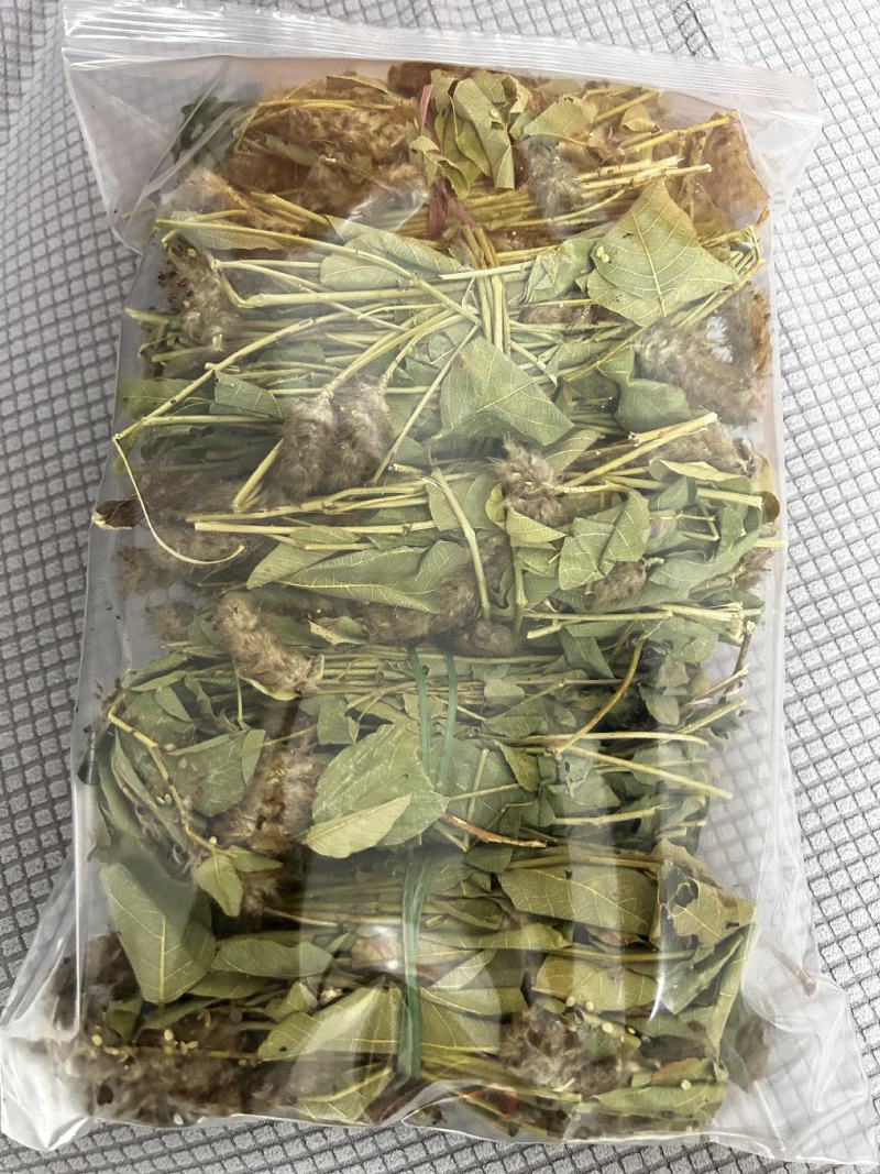 纯野生狸尾草，狐狸尾草，产地直发