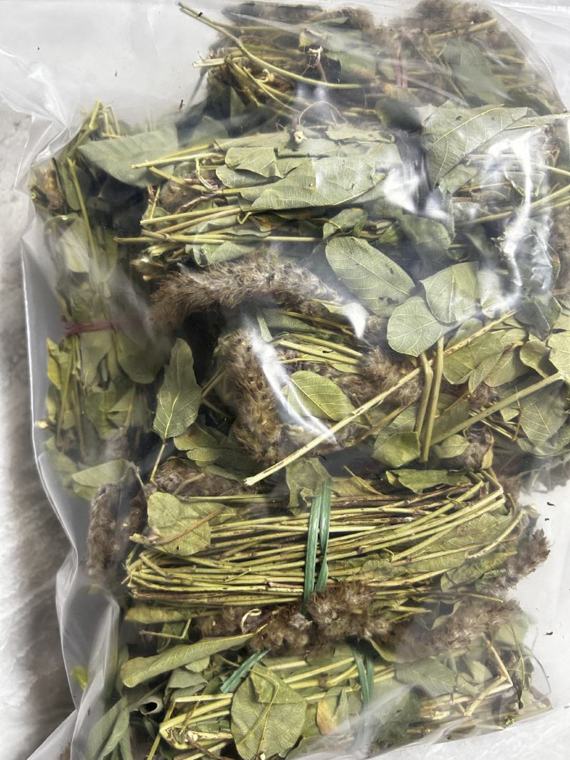 纯野生狸尾草，狐狸尾草，产地直发