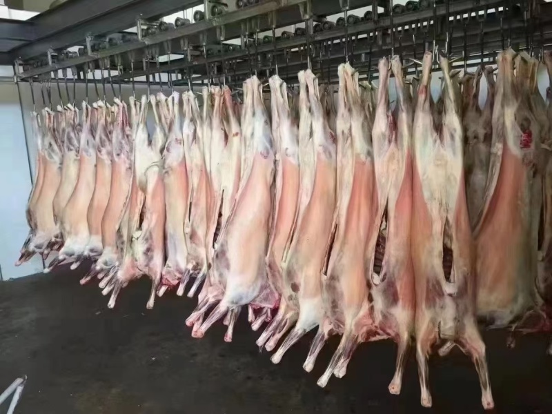 陕北横山跑山羊肉