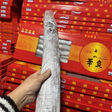 各种型号带鱼水产批发规格齐全包装精美质量保证欢迎来电订购