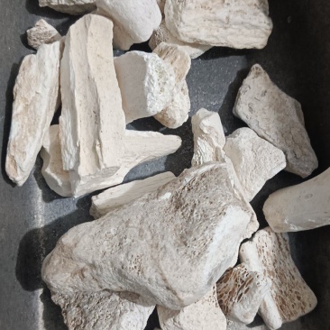 龙骨，正品龙骨水洗，实拍现货，24小时内发货