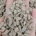 怀牛膝野生川牛膝各种规格实物拍摄无硫原图质量和售后无忧