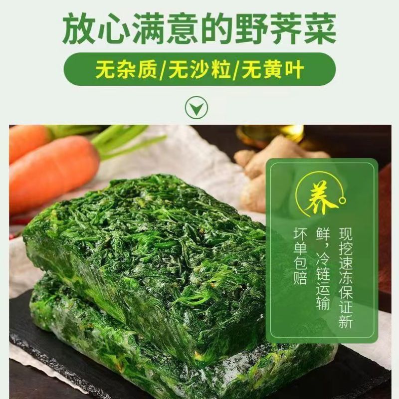 荠荠菜农户自种千亩去根去黄叶荠菜速冻荠菜常年供