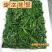 荠荠菜农户自种千亩去根去黄叶荠菜速冻荠菜常年供