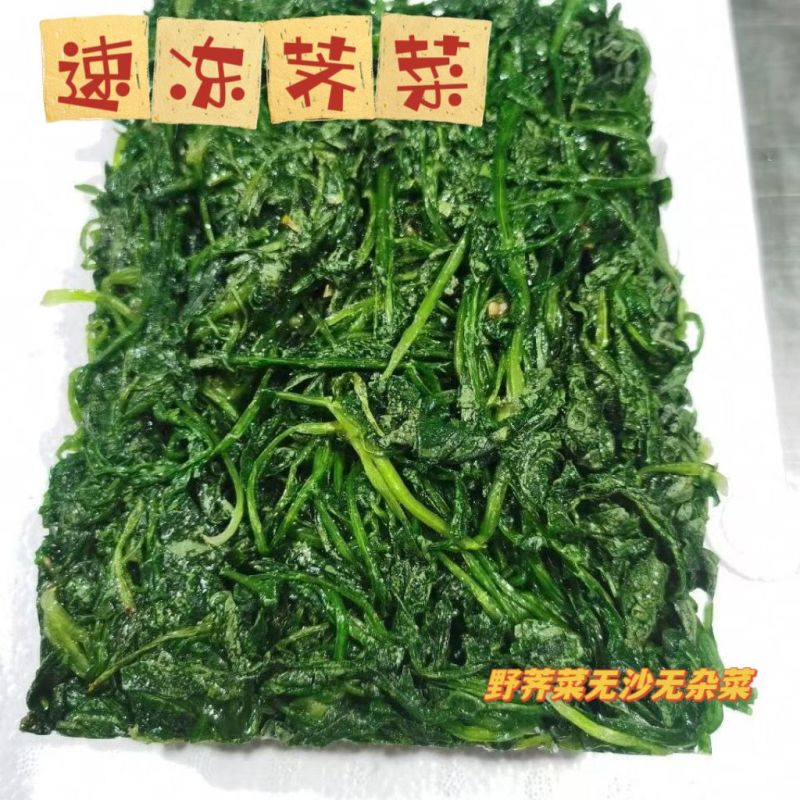荠荠菜农户自种千亩去根去黄叶荠菜速冻荠菜常年供