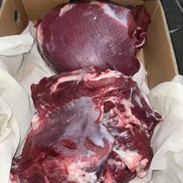 新鲜牛肉，厂家大量批发，各种部位，四分体16分体