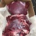 新鲜牛肉，厂家大量批发，各种部位，四分体16分体