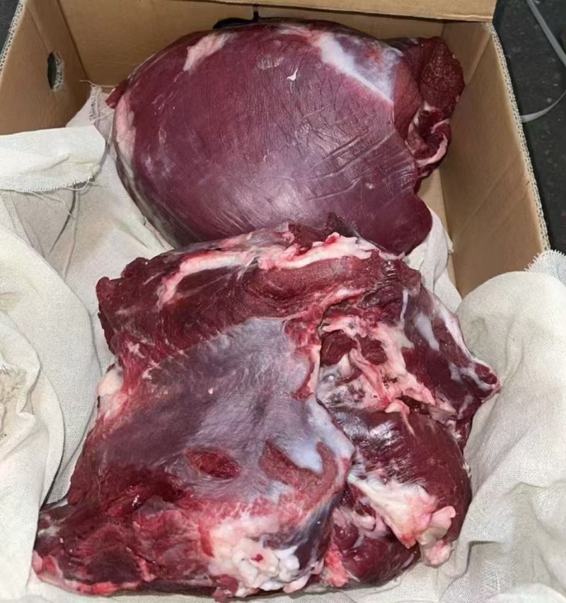 新鲜牛肉，厂家大量批发，各种部位，四分体16分体