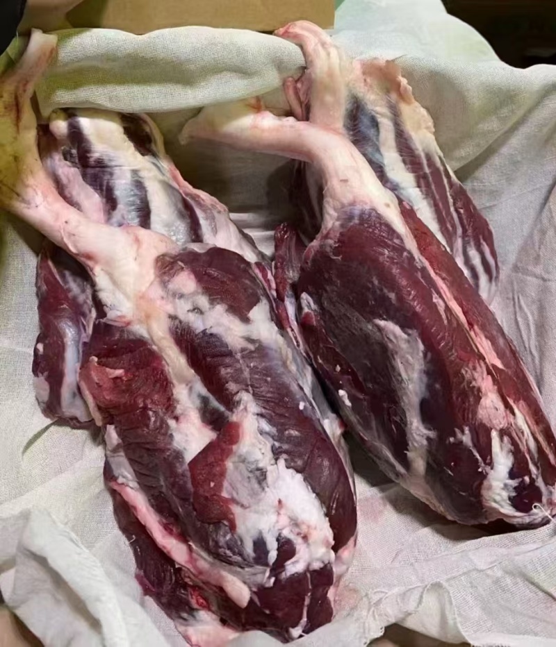 新鲜牛肉，厂家大量批发，各种部位，四分体16分体