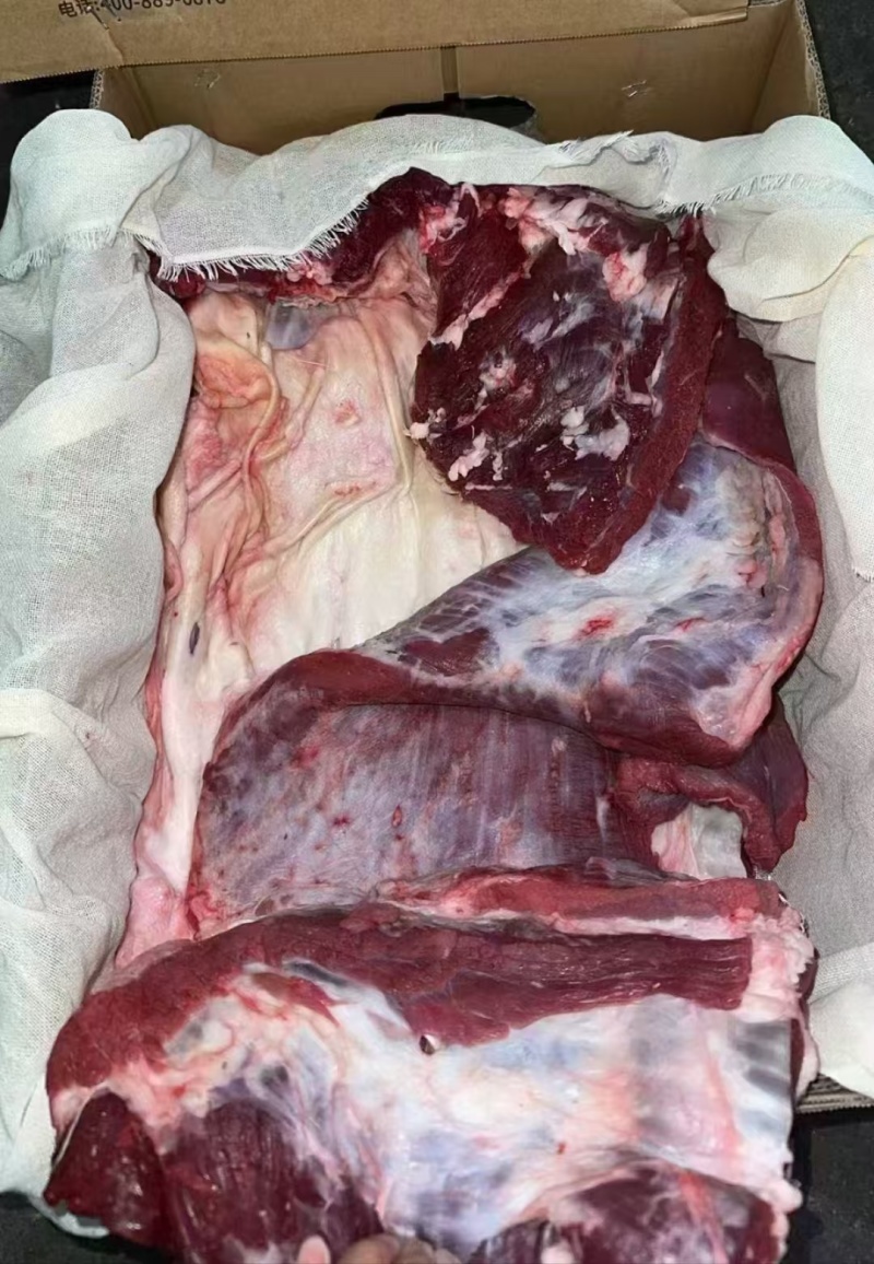 新鲜牛肉，厂家大量批发，各种部位，四分体16分体