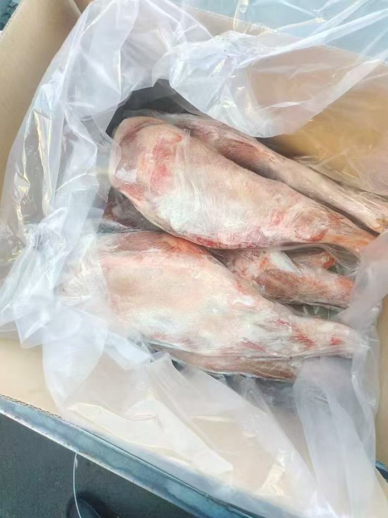 羊腿***********
