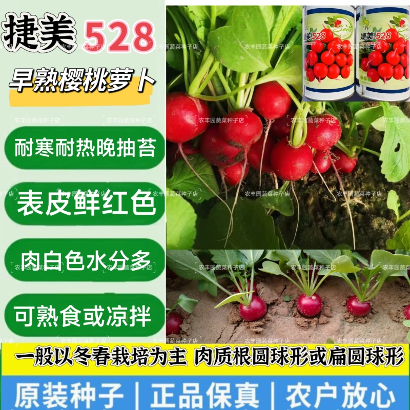 申萌婕美528樱桃萝卜种子早熟一代杂交蔬菜种子小萝卜红丁