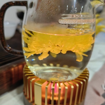 金丝菊