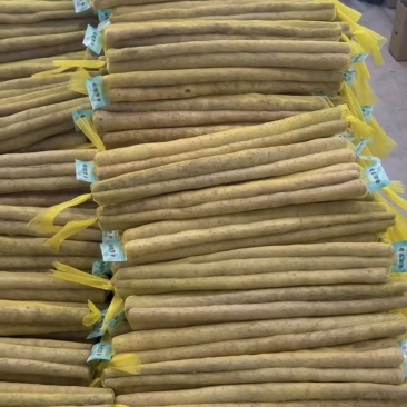 水洗铁棍小白嘴山药产地直发