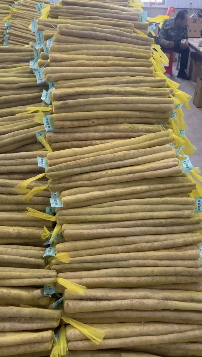 水洗铁棍小白嘴山药产地直发