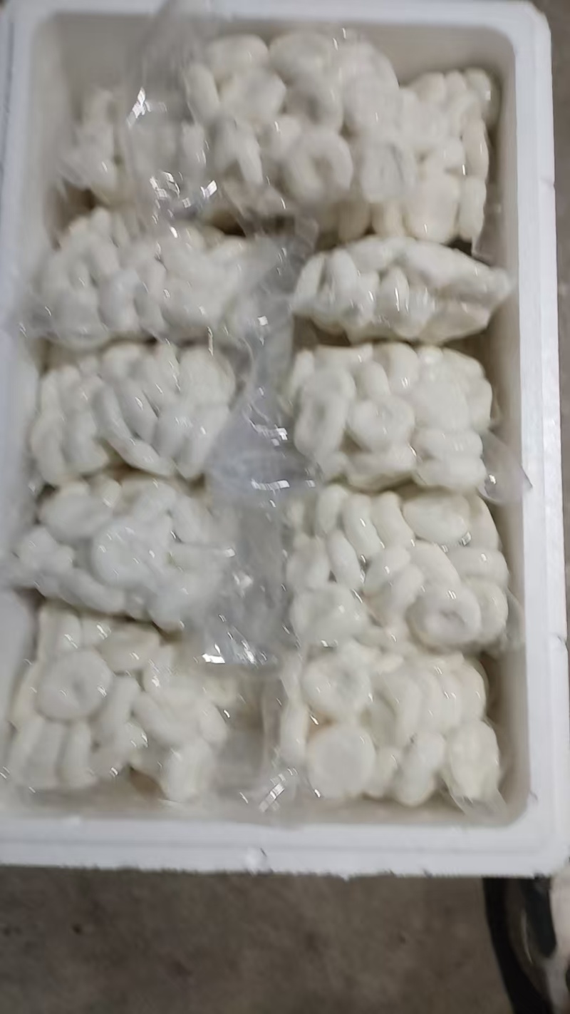 【荸荠】精品去皮荸荠产地直出诚信经营，可发往全国市场！
