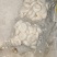 【荸荠】精品去皮荸荠产地直出诚信经营，可发往全国市场！