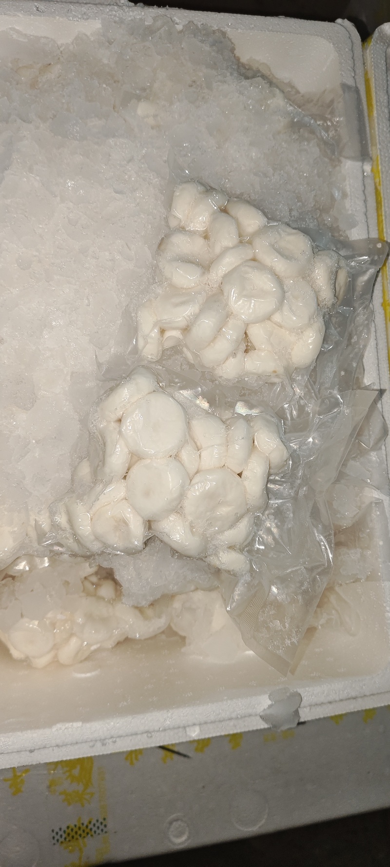 【荸荠】精品去皮荸荠产地直出诚信经营，可发往全国市场！
