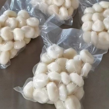 【荸荠】精品去皮荸荠产地直出诚信经营，可发往全国市场！