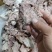 熟牛肉筋（筋头巴脑）