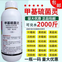甲基硫菌灵，白粉病，黑星病，蔓枯病，穿孔病，缩叶病，炭疽