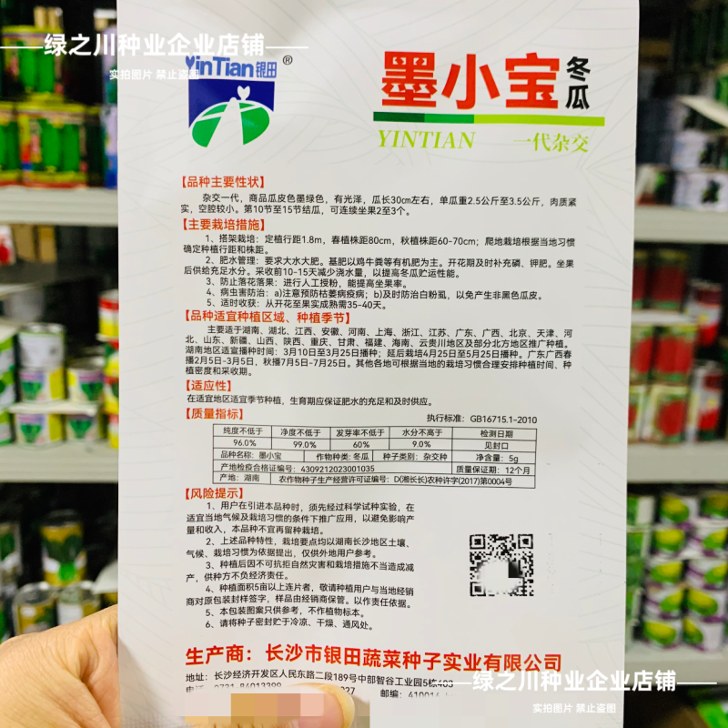 小黑冬瓜种子杂交迷你冬瓜墨小宝黑皮种子早熟高产墨绿色冬瓜