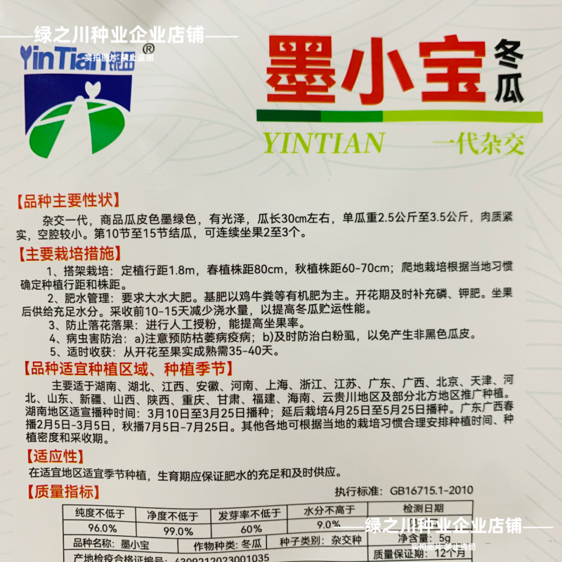 小黑冬瓜种子杂交迷你冬瓜墨小宝黑皮种子早熟高产墨绿色冬瓜