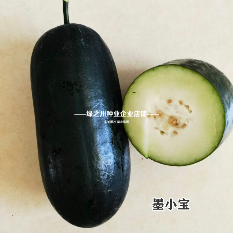 小黑冬瓜种子杂交迷你冬瓜墨小宝黑皮种子早熟高产墨绿色冬瓜